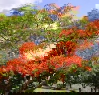 Eastwood Farm - New South Wales Tourism 