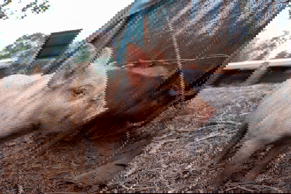  New South Wales Tourism 