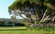 Spring Bay Villas - thumb 5