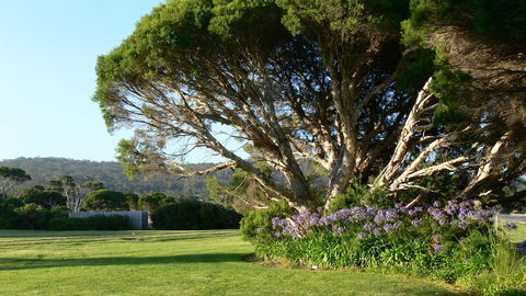 Spring Bay Villas - New South Wales Tourism  5