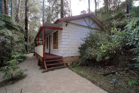 Fernglen Forest Retreat - New South Wales Tourism  5