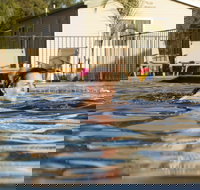 Riverside Cabin Park - New South Wales Tourism 