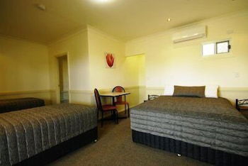 Park Avenue Hotel Motel - New South Wales Tourism  3