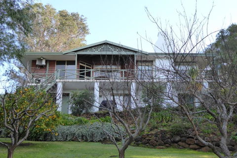 Sea Banksia - New South Wales Tourism  1