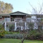 Sea Banksia - New South Wales Tourism  0
