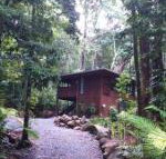 Black Palm Cape Tribulation - New South Wales Tourism 