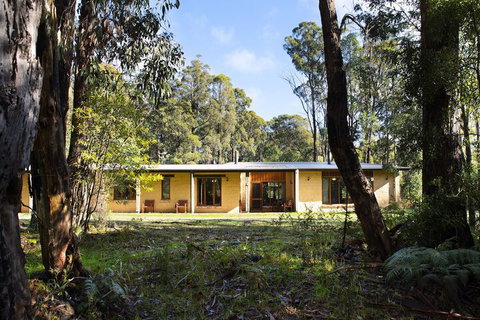 Gumtree Spring - New South Wales Tourism  4