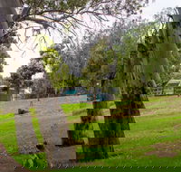 Windsor Gardens Caravan Park - New South Wales Tourism 