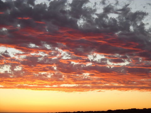 On The Deck @ Shark Bay - New South Wales Tourism  6