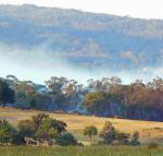 Candlebark Retreat - New South Wales Tourism 
