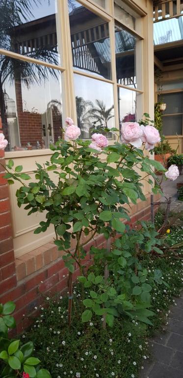 Oxford Rise Apartment - New South Wales Tourism  5