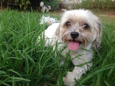 A Country Barn Retreat - New South Wales Tourism  3