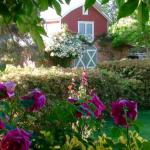 A Country Barn Retreat - New South Wales Tourism  0