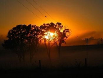 Lochinvar House B&B - New South Wales Tourism  3