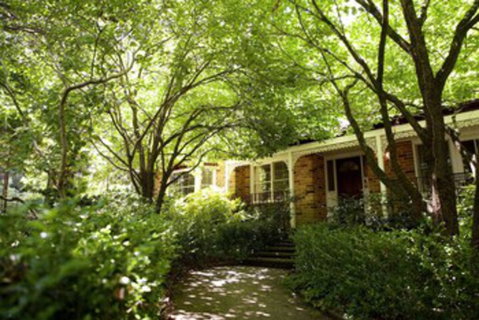 Leura Camellias - New South Wales Tourism  0