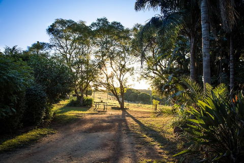 Hillview Cottages - New South Wales Tourism  0