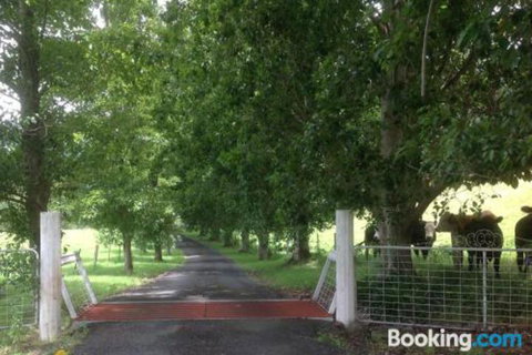 Whispers At Cedar Grove - New South Wales Tourism  7