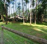 Fernglade on Menzies - New South Wales Tourism 