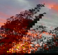 The York Heritage Hotel  Terraces - New South Wales Tourism 