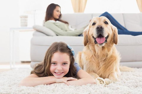 BOUTIQUE STAYS - South Yarra Lane - New South Wales Tourism  4