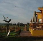 Art at Linden Gate - New South Wales Tourism 