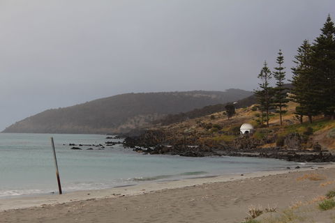 Baudin House - New South Wales Tourism  3