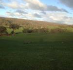 Mancuso Country Cottage Retreat - New South Wales Tourism 