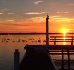 Bayview Boathouse - New South Wales Tourism 