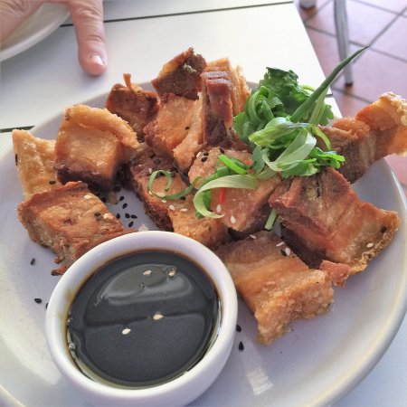 Jellyfish - New South Wales Tourism  0