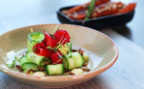 JPB - New South Wales Tourism  5