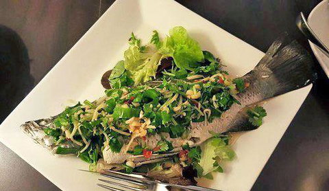 Paladarr - New South Wales Tourism  15