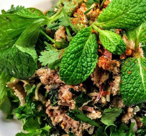 Paladarr - New South Wales Tourism  20