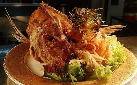 Paladarr - New South Wales Tourism  23