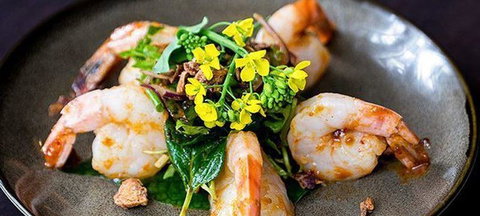 Paladarr - New South Wales Tourism  2