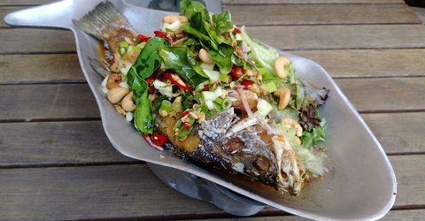 Paladarr - New South Wales Tourism  8