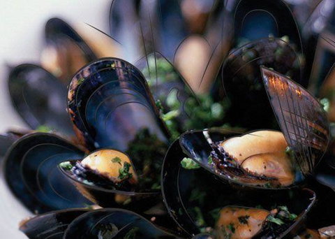 Peppermint Bay - Bar, Dining And Terrace - New South Wales Tourism  6