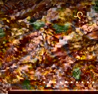 Pizza D'oh - New South Wales Tourism 