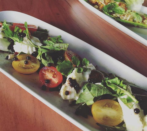 Rhonda's Bar - New South Wales Tourism  5