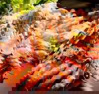 Table 30 - New South Wales Tourism 