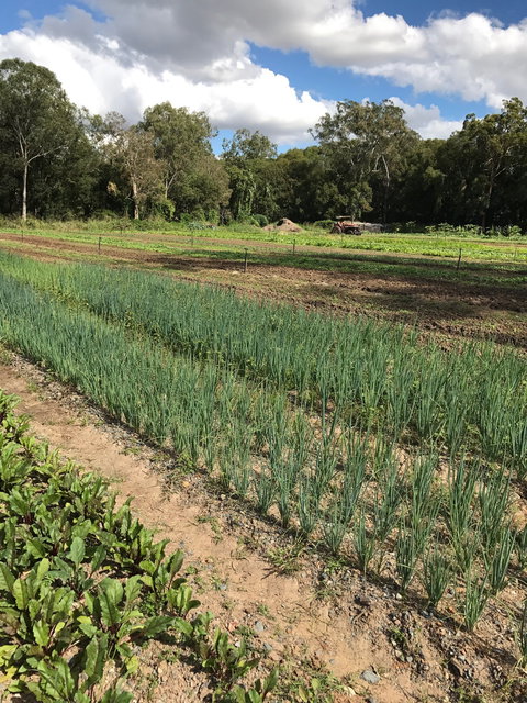 Thai Tamarind - New South Wales Tourism  2