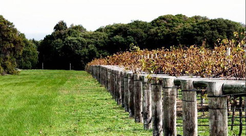 Arimia Restaurant And Winery - New South Wales Tourism  5