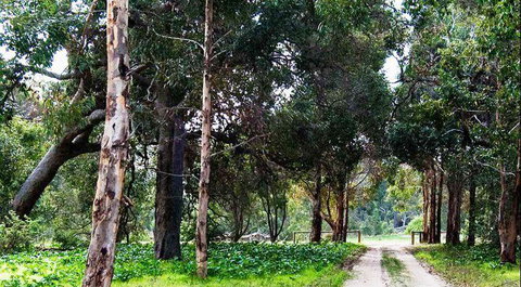 Arimia Restaurant And Winery - New South Wales Tourism  7