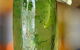 Golden Spice Indian Cuisine - thumb 4