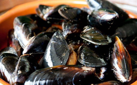 Tapas Tapas Bodega - New South Wales Tourism  13