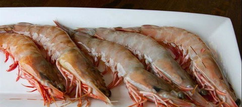 Tapas Tapas Bodega - New South Wales Tourism  22