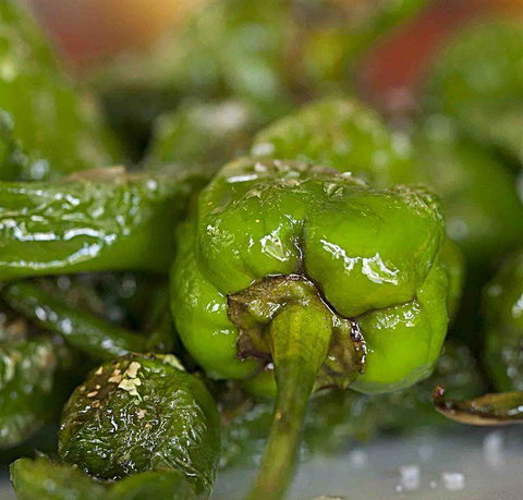 Tapas Tapas Bodega - New South Wales Tourism  7