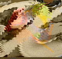 Butcher 128 - New South Wales Tourism 