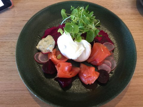 Ginger Fox - New South Wales Tourism  0