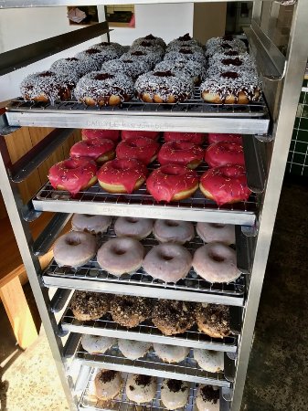 All Day Donuts - New South Wales Tourism  0