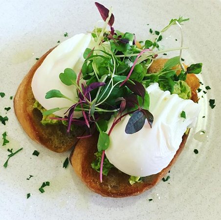 Cafe 3564 - New South Wales Tourism  0